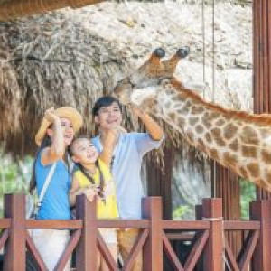 Vé Vinpearl Safari Phú Quốc – Mức giá & Các chương trình ưu đãi