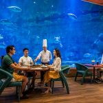 Nhà Hàng Deep Sea: Mỹ vị giữa lòng đại dương Phú Quốc